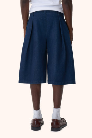 Anua Raw Denim Shorts