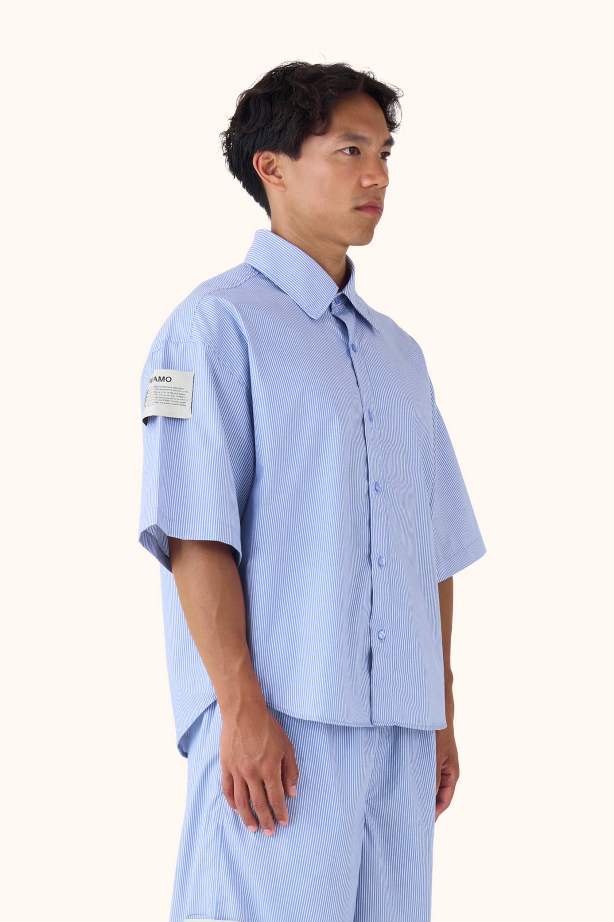 Ann Blue Pinstripe Shirt